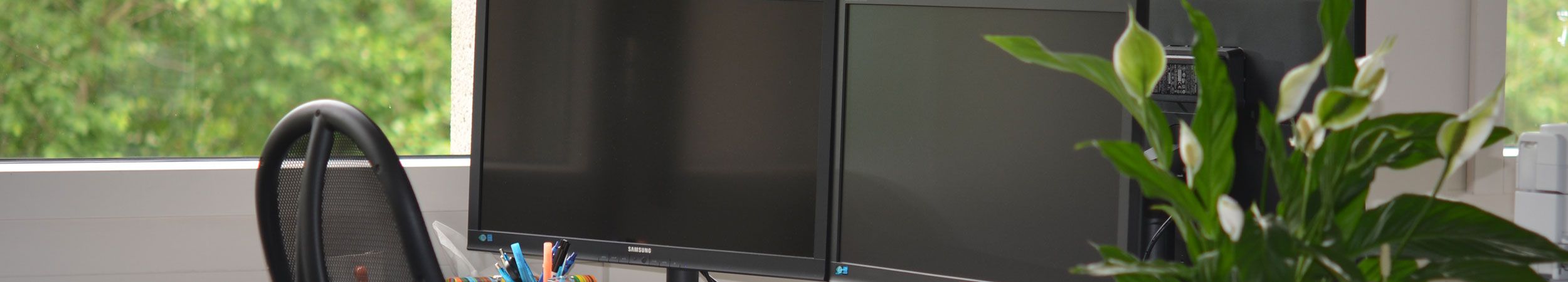 Flectra CMS - a big picture